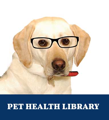 pet-health-library