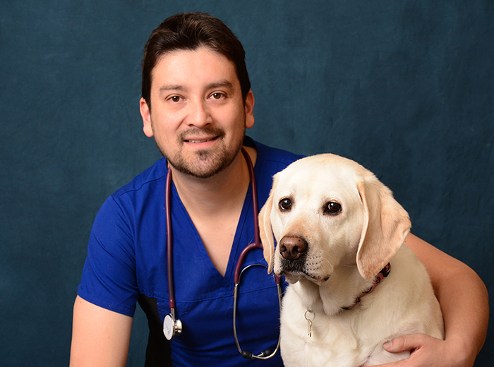 Veterinarian in Lake Worth Florida