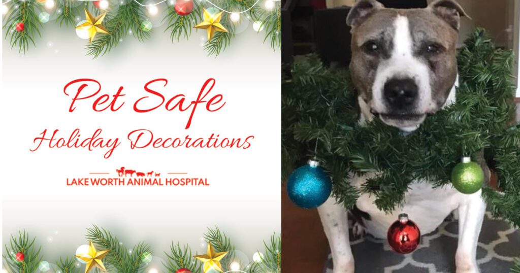 Pet Safe Holiday Decorating Tips