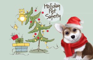 holiday-pet-safety