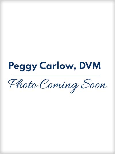 Meet Dr. Peggy Carlow