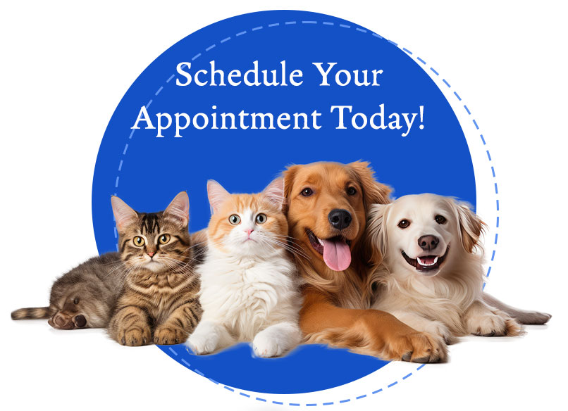 appointment-today Lake Worth FL