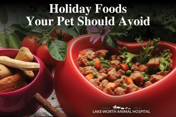 holiday-food-to-avoid