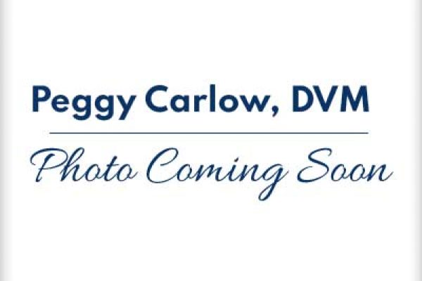 Meet Dr. Peggy Carlow